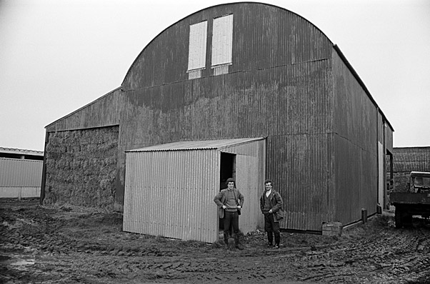 Barn Dried Hay At York House Farm Pwllheli